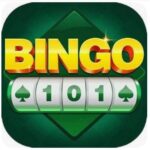 Bingo 101