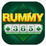 Rummy 365