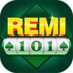 Remi 101