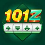 101 z